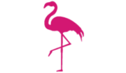 Silver Airways