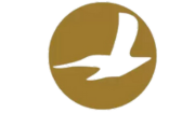 Cham Wings Airlines