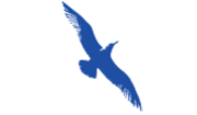 Cape Air