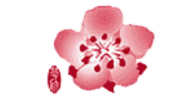 China Airlines