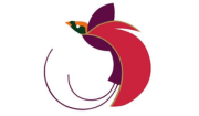 Air Niugini Pty