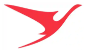 Surinam Airways