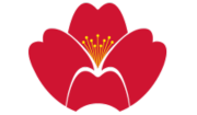 Qingdao Airlines