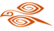 Aer Arann
