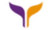 Yan Air